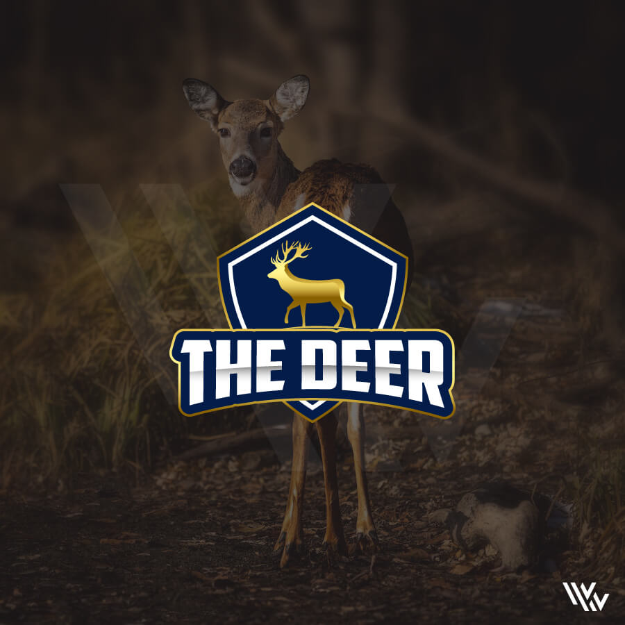 The Deer Explore