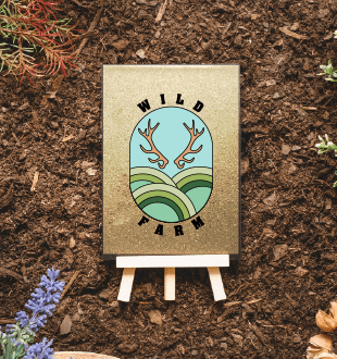 Logo Design